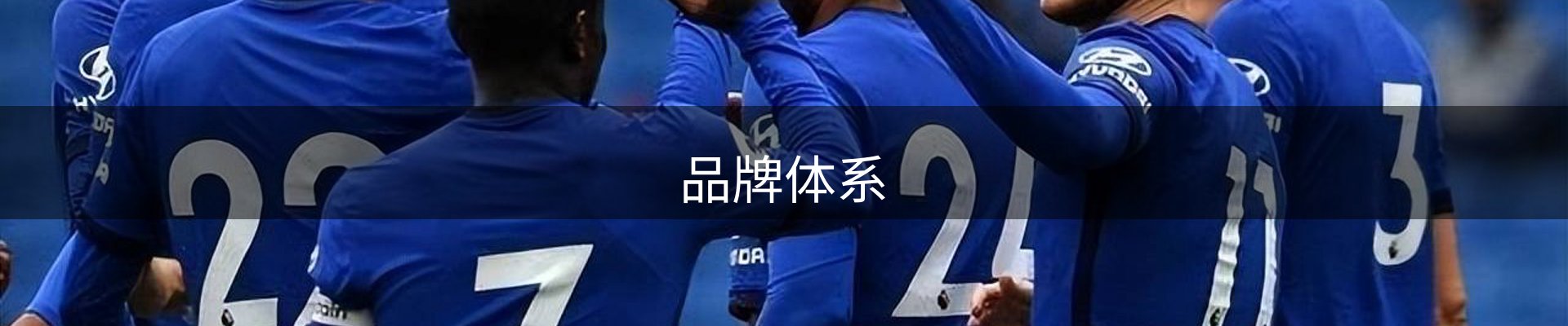 品牌体系